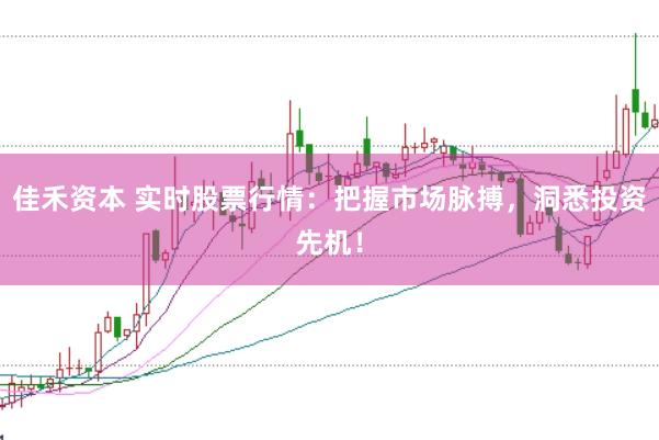 佳禾资本 实时股票行情：把握市场脉搏，洞悉投资先机！