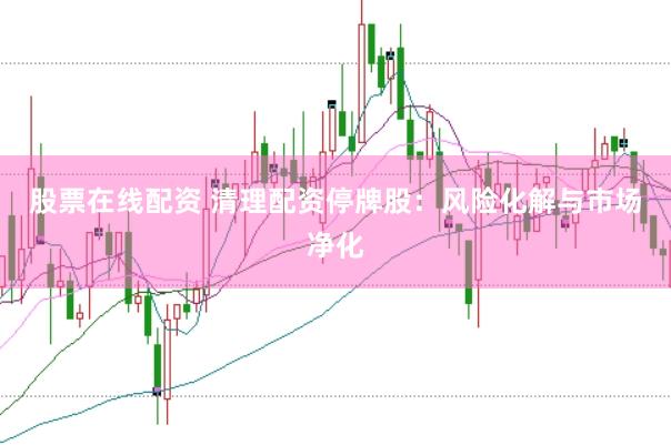股票在线配资 清理配资停牌股：风险化解与市场净化