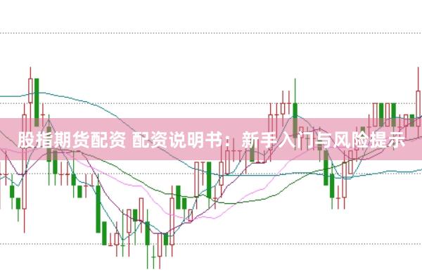 股指期货配资 配资说明书：新手入门与风险提示