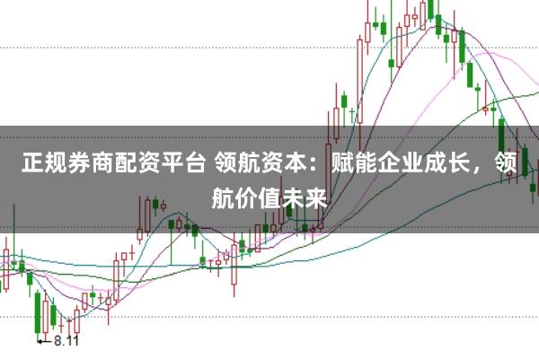 正规券商配资平台 领航资本：赋能企业成长，领航价值未来