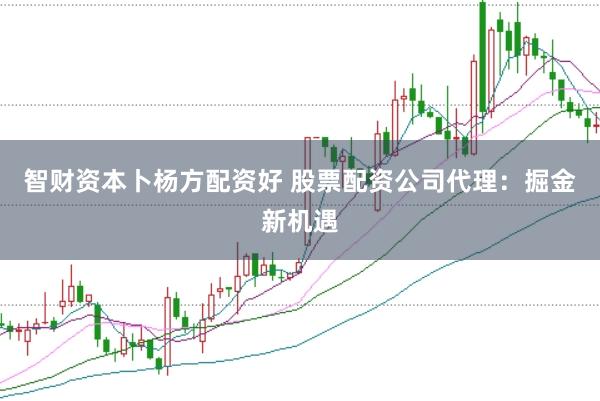智财资本卜杨方配资好 股票配资公司代理：掘金新机遇