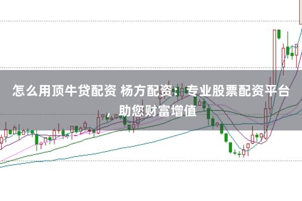 怎么用顶牛贷配资 杨方配资：专业股票配资平台，助您财富增值