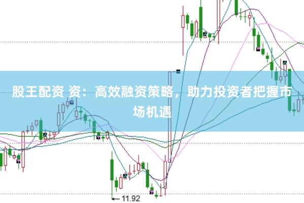 股王配资 资：高效融资策略，助力投资者把握市场机遇