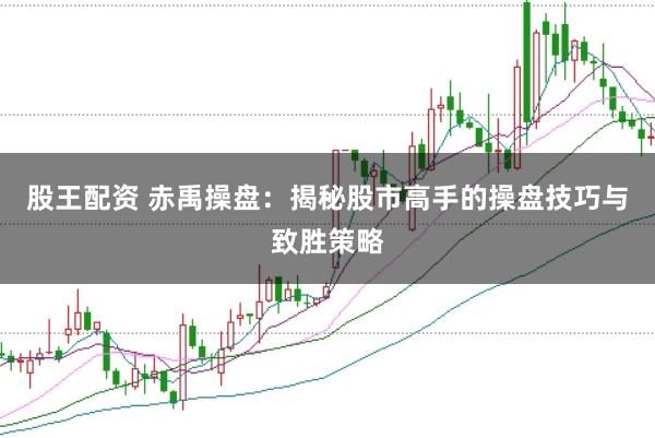 股王配资 赤禹操盘：揭秘股市高手的操盘技巧与致胜策略