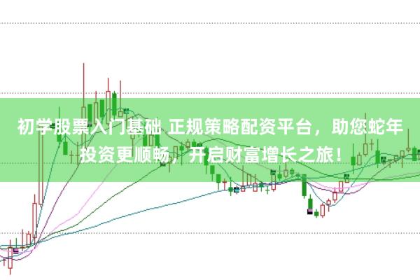 初学股票入门基础 正规策略配资平台，助您蛇年投资更顺畅，开启财富增长之旅！