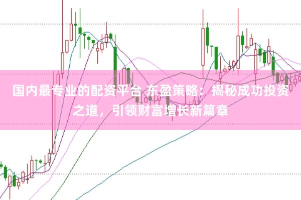 国内最专业的配资平台 东盈策略：揭秘成功投资之道，引领财富增长新篇章