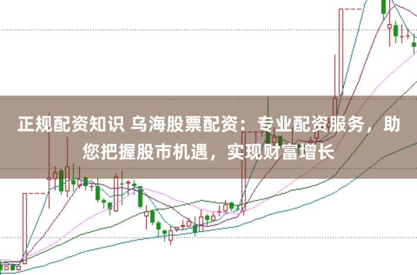 正规配资知识 乌海股票配资：专业配资服务，助您把握股市机遇，实现财富增长