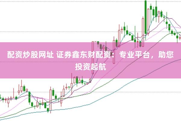 配资炒股网址 证券鑫东财配资：专业平台，助您投资起航