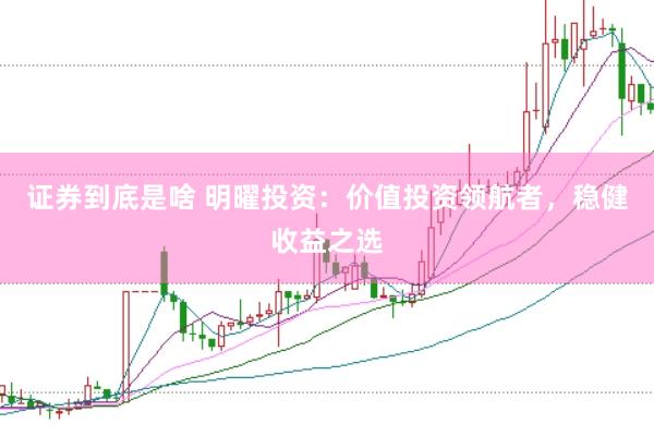 证券到底是啥 明曜投资：价值投资领航者，稳健收益之选