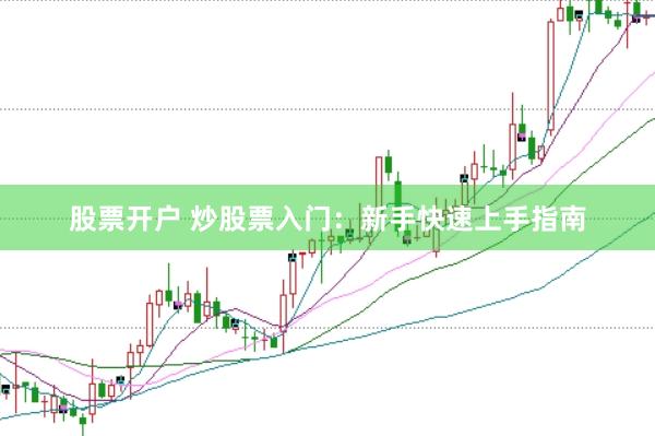 股票开户 炒股票入门：新手快速上手指南