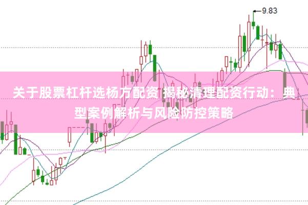 关于股票杠杆选杨方配资 揭秘清理配资行动：典型案例解析与风险防控策略
