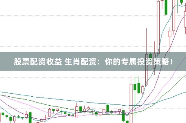 股票配资收益 生肖配资：你的专属投资策略！