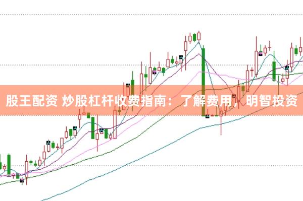 股王配资 炒股杠杆收费指南：了解费用，明智投资