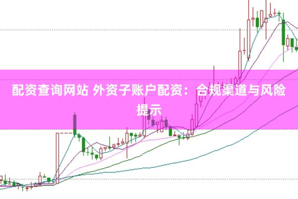 配资查询网站 外资子账户配资：合规渠道与风险提示