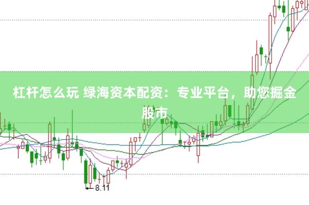 杠杆怎么玩 绿海资本配资:专业平台,助您掘金股市