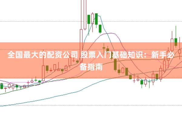 全国最大的配资公司 股票入门基础知识:新手必备指南