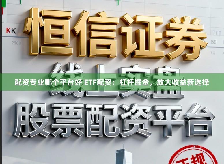 配资专业哪个平台好 ETF配资：杠杆掘金，放大收益新选择