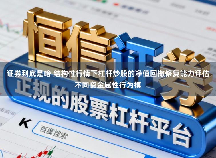 证券到底是啥 结构性行情下杠杆炒股的净值回撤修复能力评估不同资金属性行为模