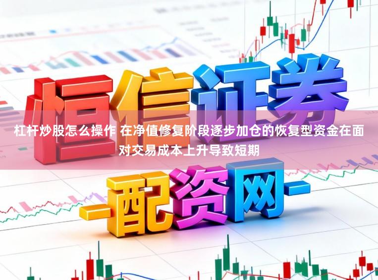 杠杆炒股怎么操作 在净值修复阶段逐步加仓的恢复型资金在面对交易成本上升导致短期