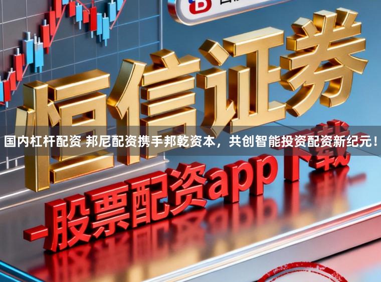 国内杠杆配资 邦尼配资携手邦乾资本，共创智能投资配资新纪元！