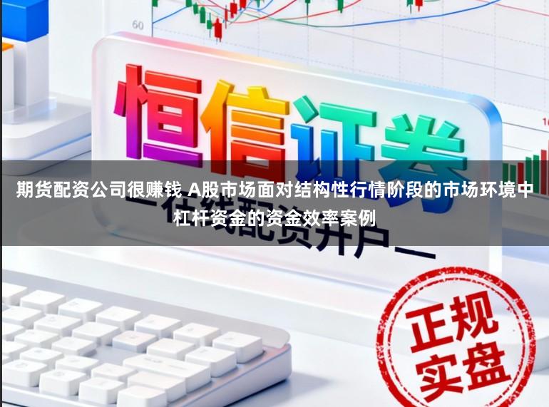 期货配资公司很赚钱 A股市场面对结构性行情阶段的市场环境中杠杆资金的资金效率案例
