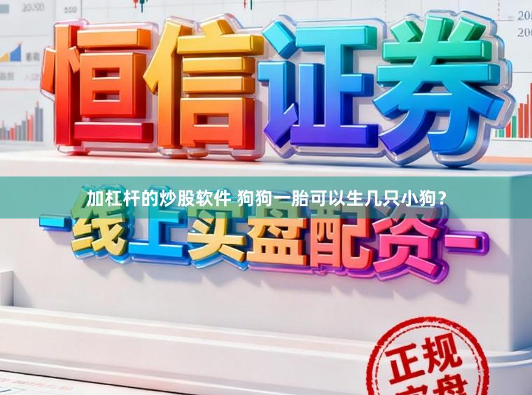 加杠杆的炒股软件 狗狗一胎可以生几只小狗？
